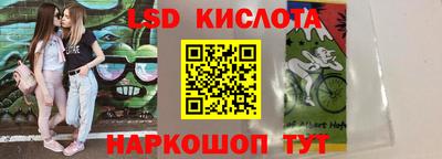 шишки Новодвинск