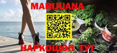 шишки Новодвинск