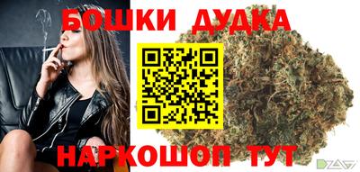 шишки Новодвинск