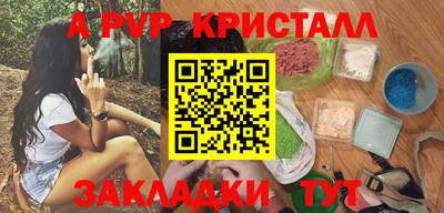 шишки Новодвинск