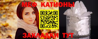 шишки Новодвинск