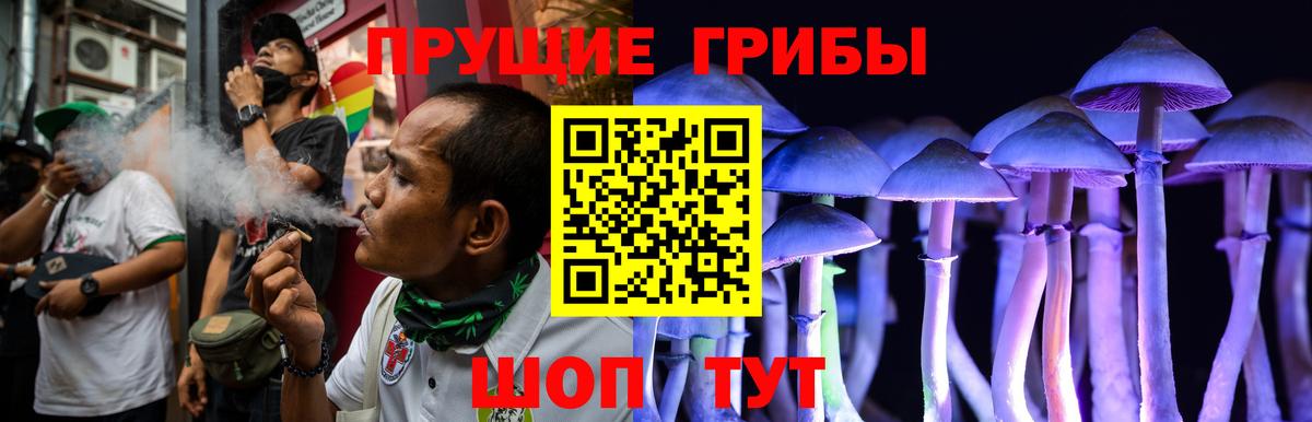 Сибай  Галлюциногенные грибы мицелий  Вход с VPN 