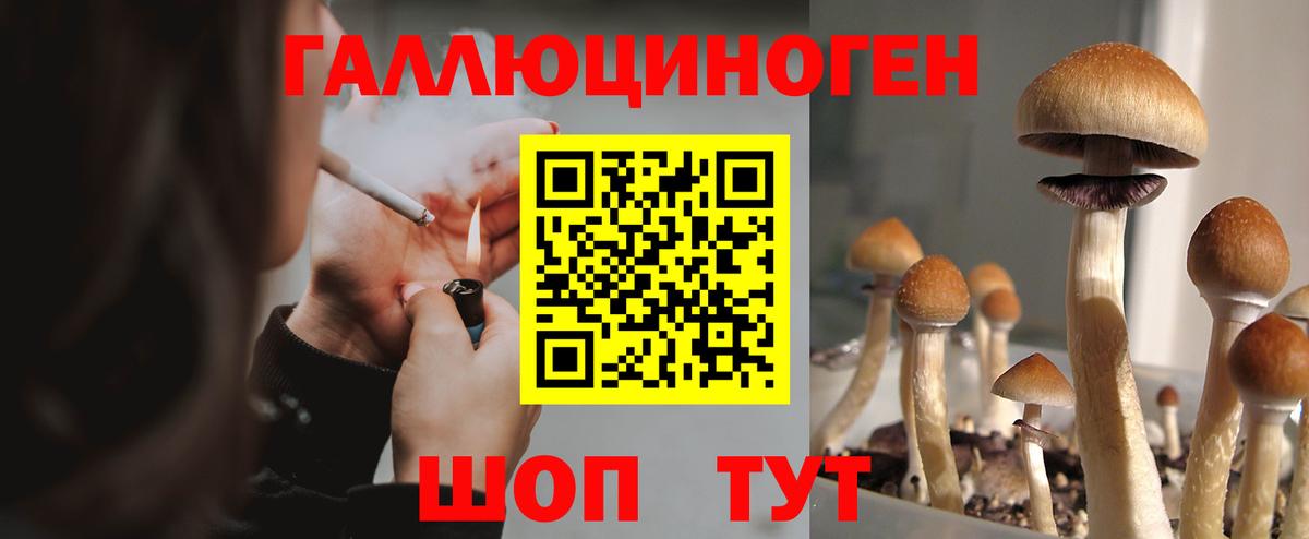 Галлюциногенные грибы Magic Shrooms Сибай